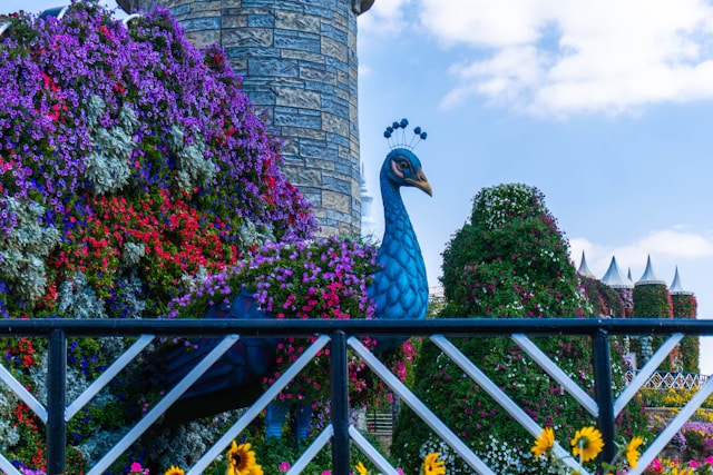 Dubai miracle garden UAE