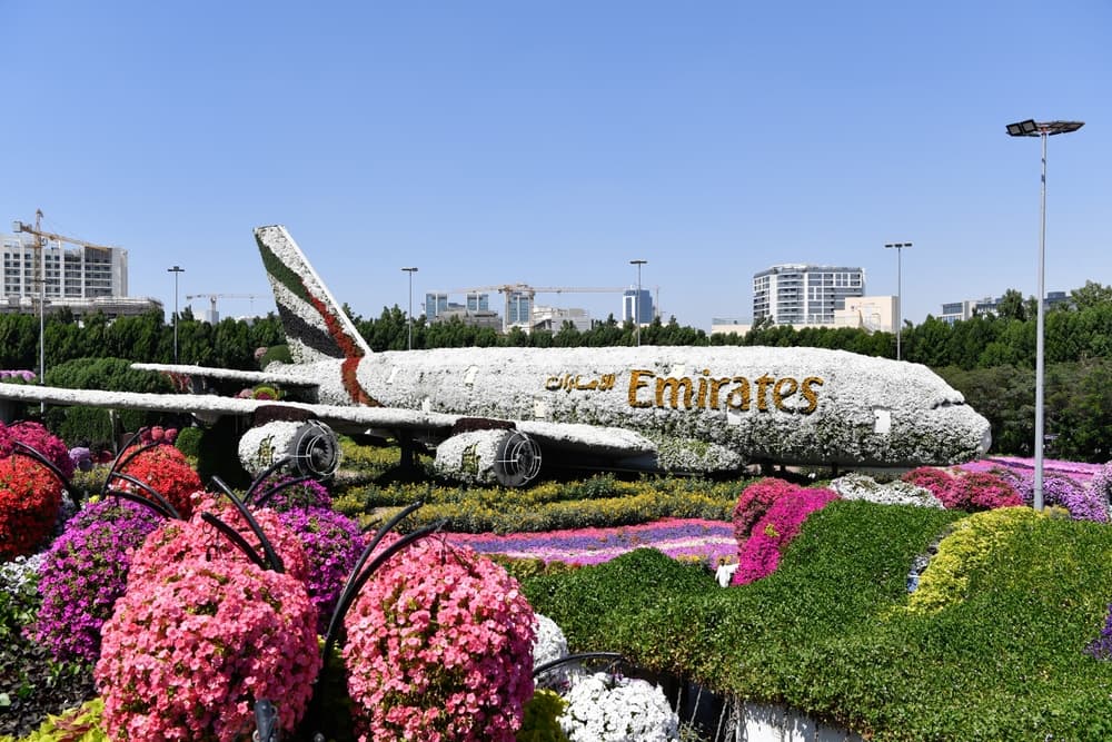 Travel news November 2024