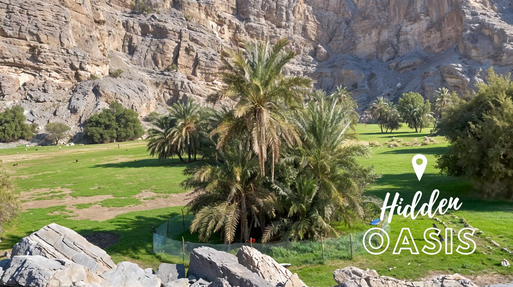 Explore the Green Beauty of Hidden Oasis & Wadi Shah Hike in Jebel Jais, RAK Hidden Oasis and Wadi Shah