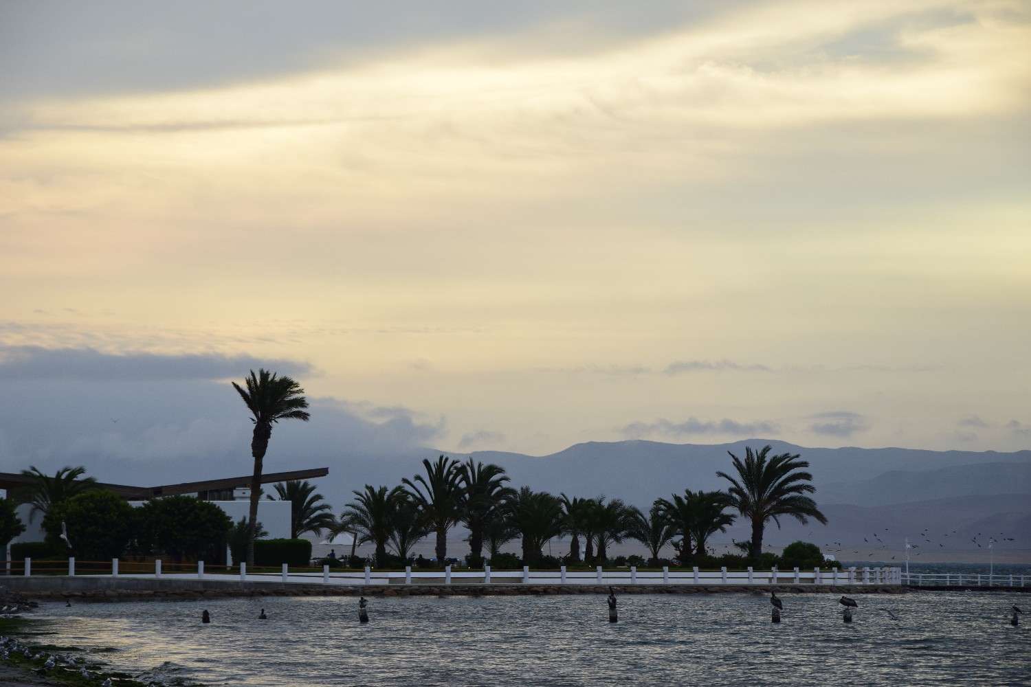 Umm Al Quwain – Nature Without the Crowds