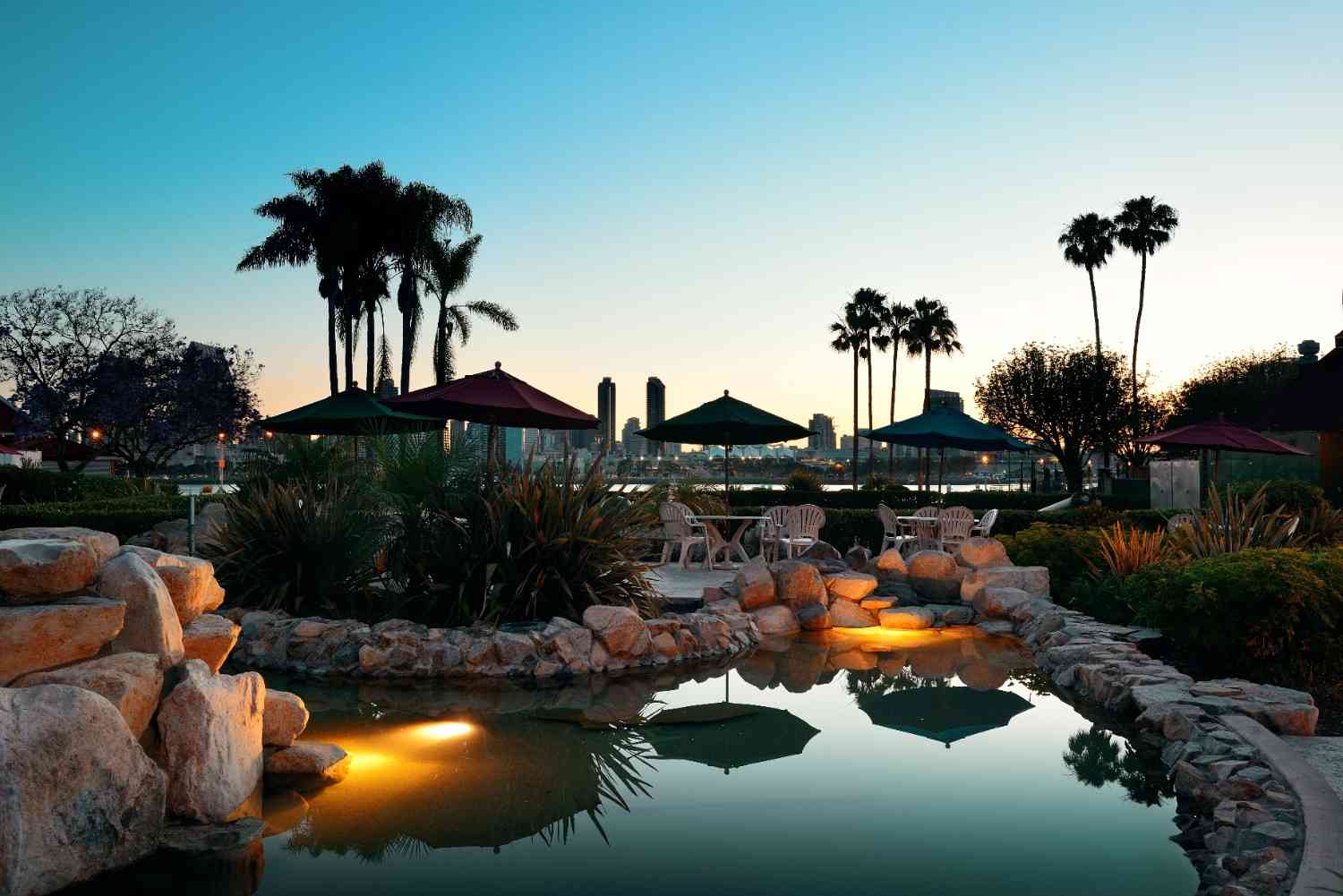 Luxury desert villa surrounded by palm trees