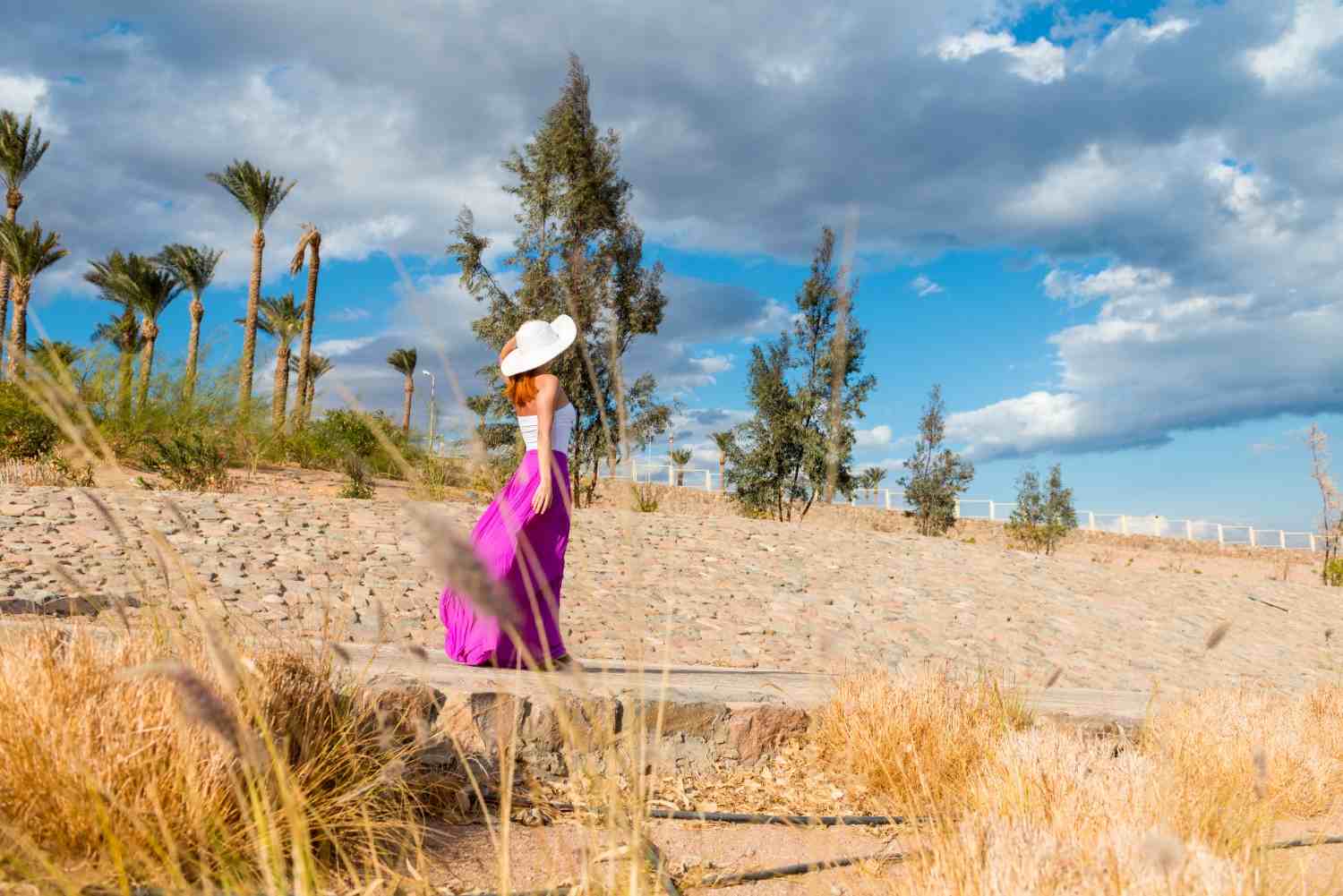 Explore the Mangroves of Kalba and Umm Al Quwain