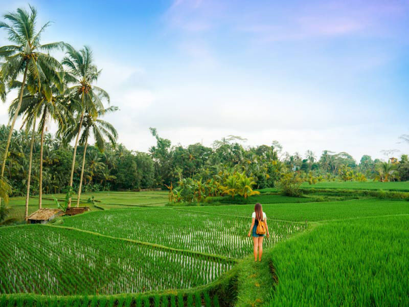bali holiday package