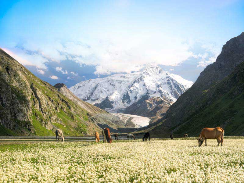 kyrgistan holiday package
