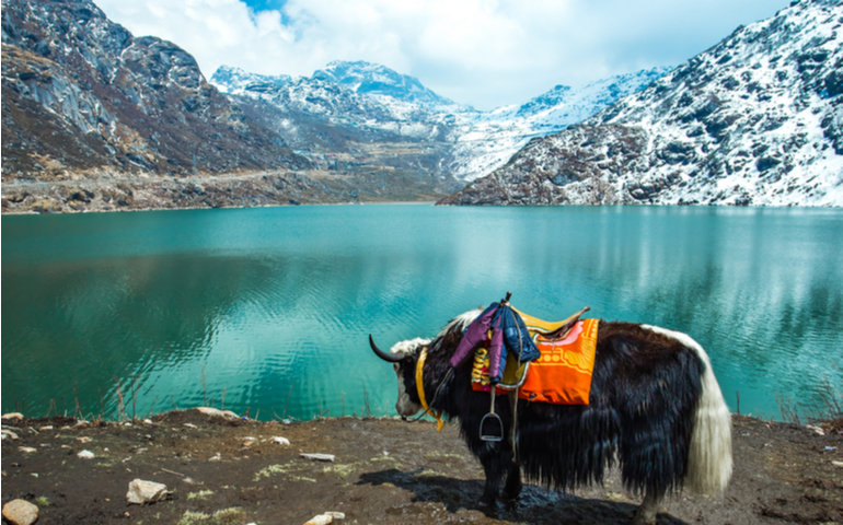 Tsomgo Lake, Gangtok