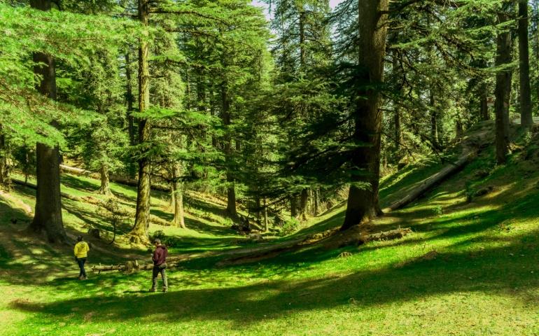 Dalhousie travel packages