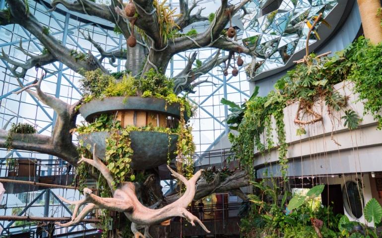 Tropical indoor rainforest dome full of birds at The Green Planet
Image Credit: Phoenixproduction/ Shutterstock