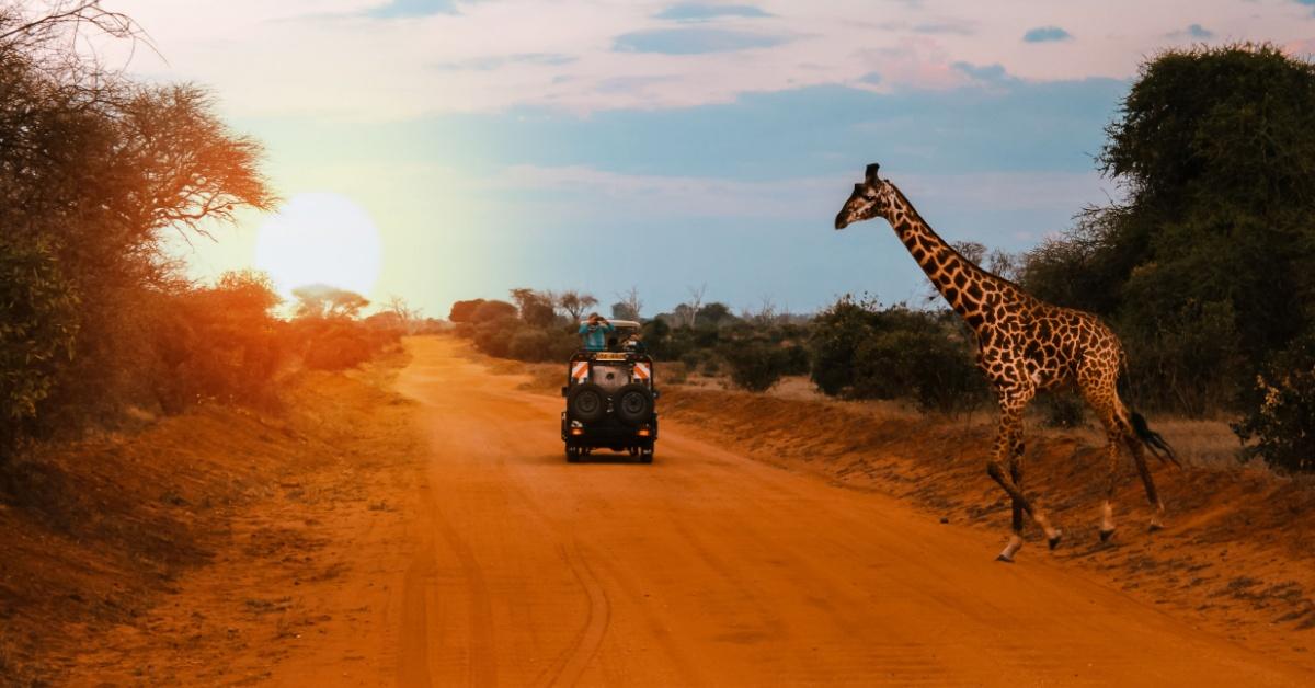 Non-Editorial: Shutterstock