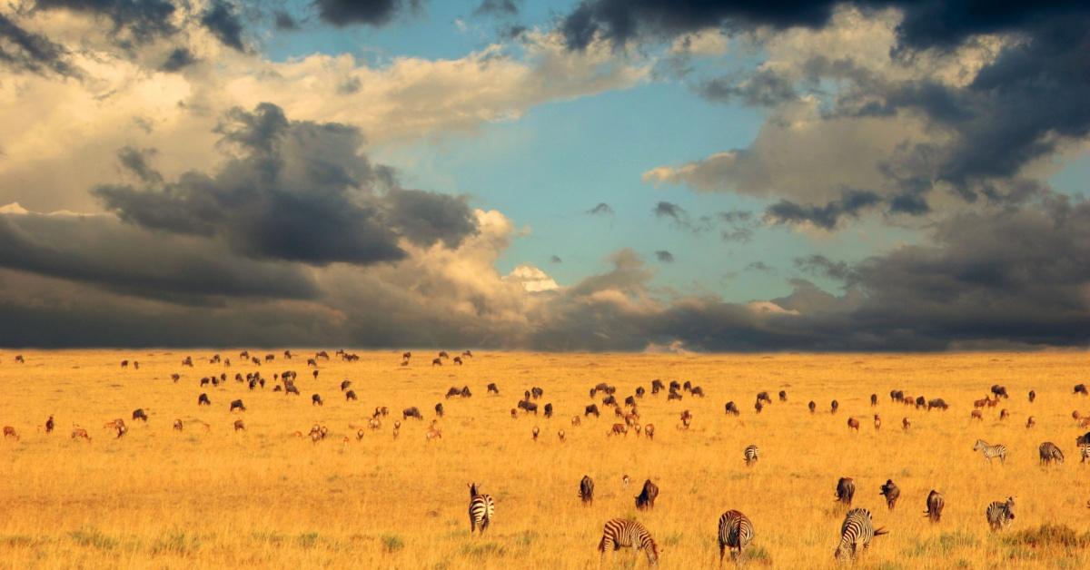 Non Editorial: Erica Lorimer Ima/Shutterstock