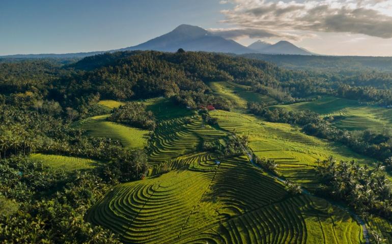 Aerial view of rice terrace and mountains in Ubud