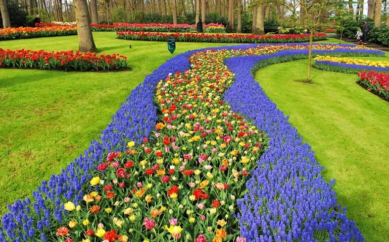 Keukenhof in the Netherlands
