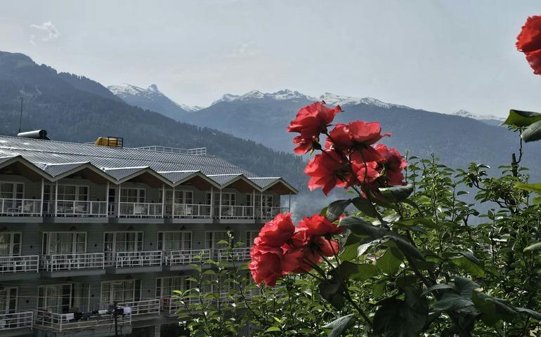 Manali, Himachal Pradesh