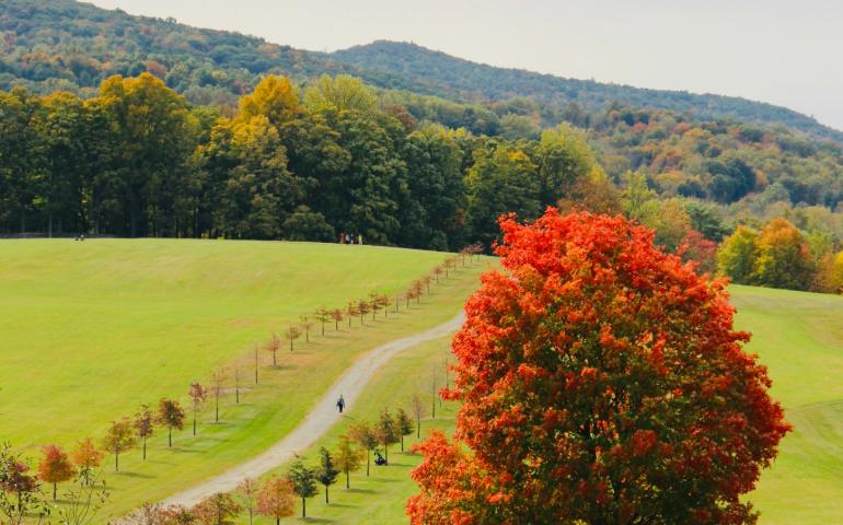 Storm King Art Center