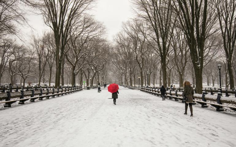 People Walking on a Snow Covered Pathway