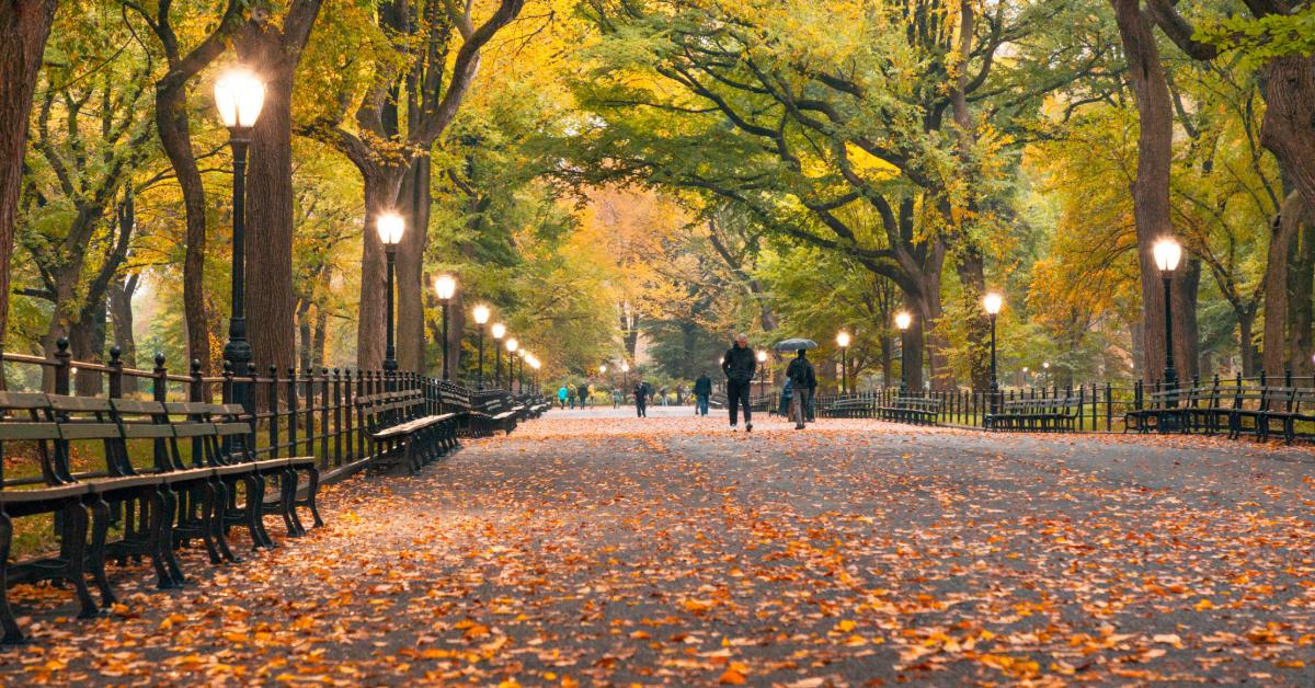 Non Editorial: Andrea Belussi/Unsplash