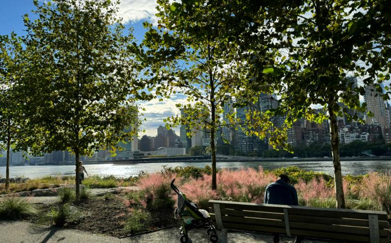 Roosevelt Island, New York