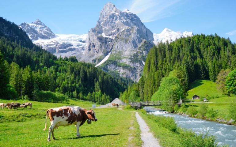 Scenic view of the Swiss landscape, Switzerland