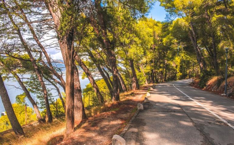 Forest road, hiking trails to Marjan Hill in Split, Croatia.