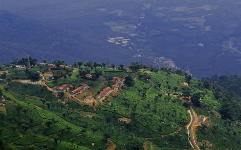 Coonoor tea garden