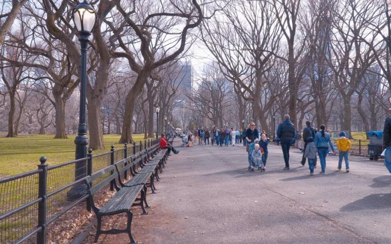 Beautiful Central Park in New York