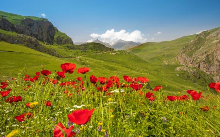 The Caucasus Mountains in spring
