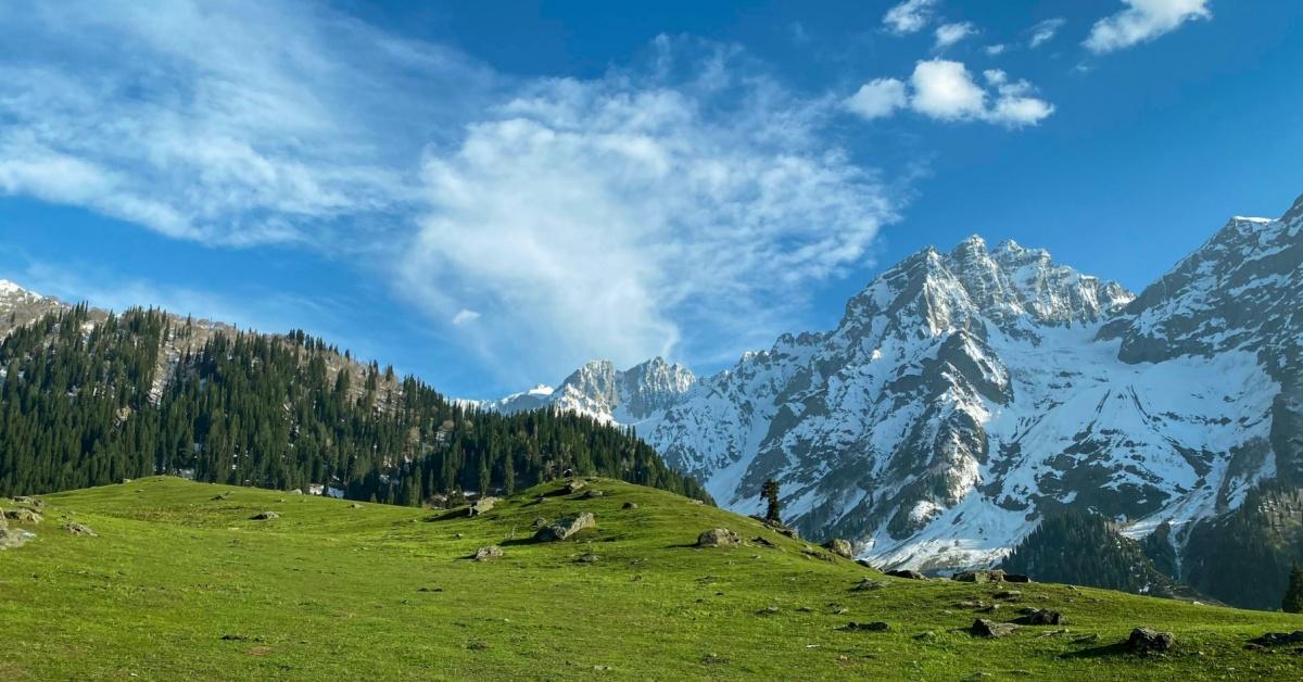 Non Editorial: Vbeeeee/Shutterstock