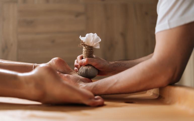 Nature Wellness Stay