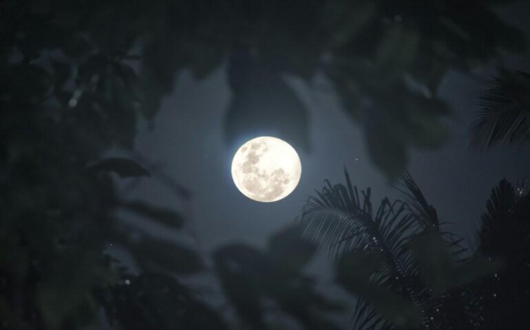 Full moon