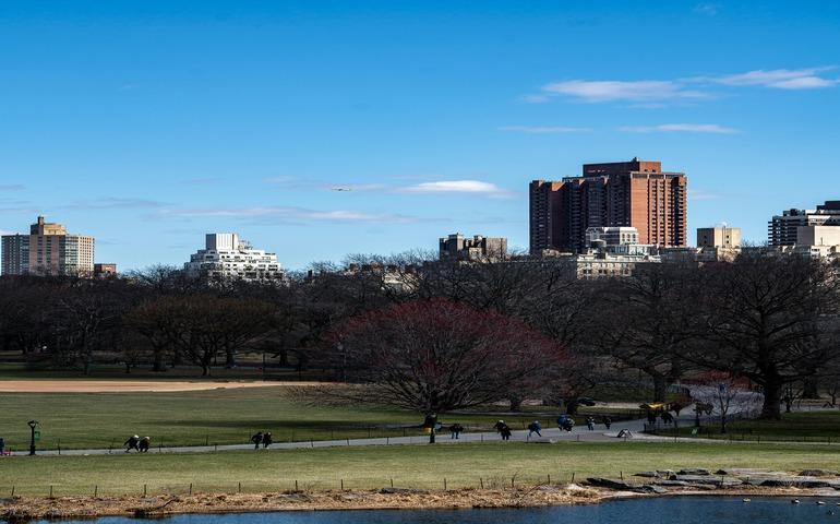 Clear Sky over Central Park