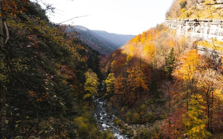 Stunning Autumn Valley with Vibrant Foliage