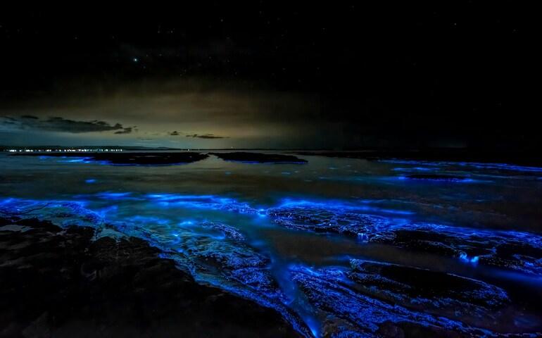 Bioluminescent Beach in Krabi