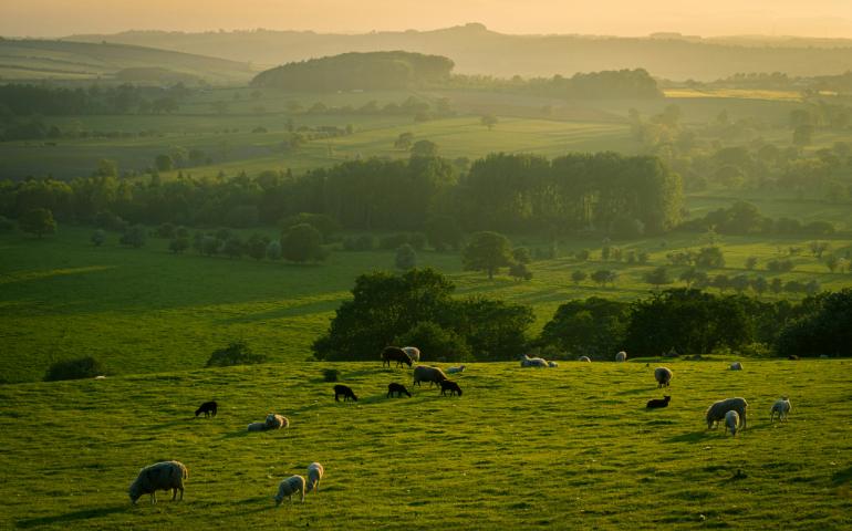 Spring Evening in Yorkshire