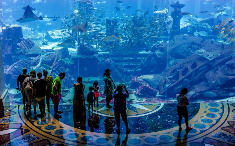 A huge Aquarium in Atlantis