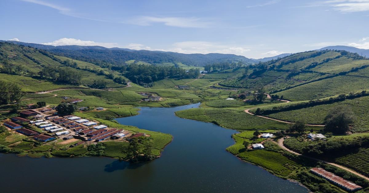 Brewed in Beauty: Let’s Explore the 10 Stunning Hotels in Coorg