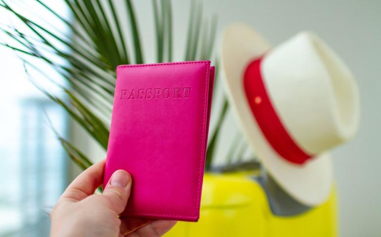 Passport case
