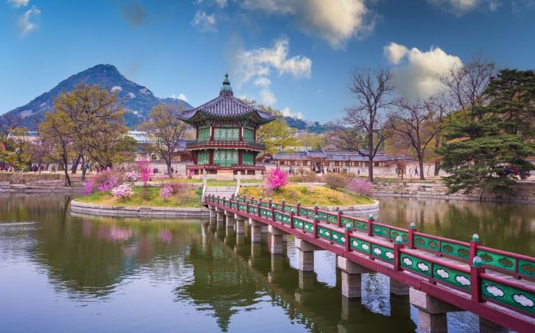 Gyeongbokgung Palace with cherry blossom trees in springtime in Seoul City, South Korea
I