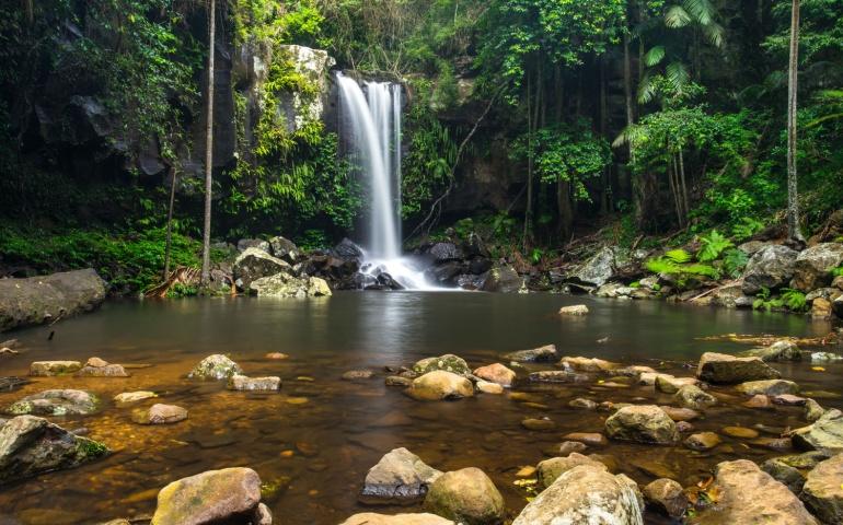 Curtis Falls in the Tamborine National Park in the Gold Coast Hinterland, Queensland, Australia