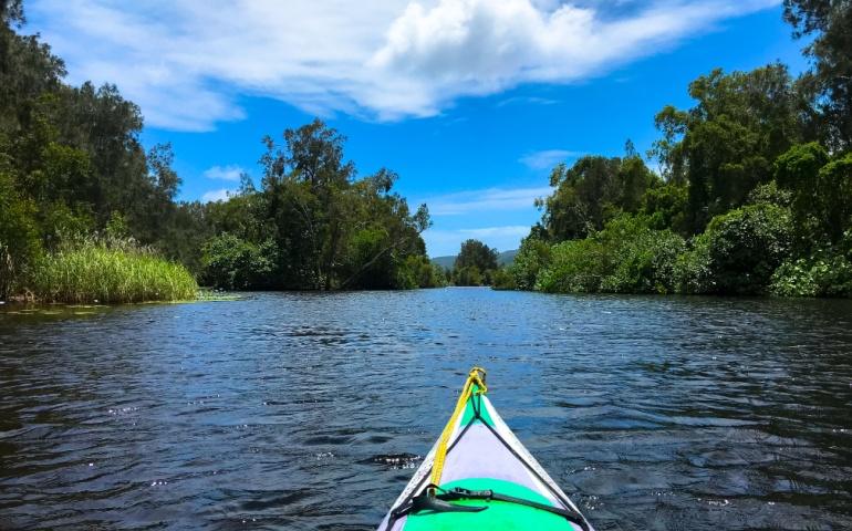 Kayaking in Noosa Everglades, Queensland, Australia