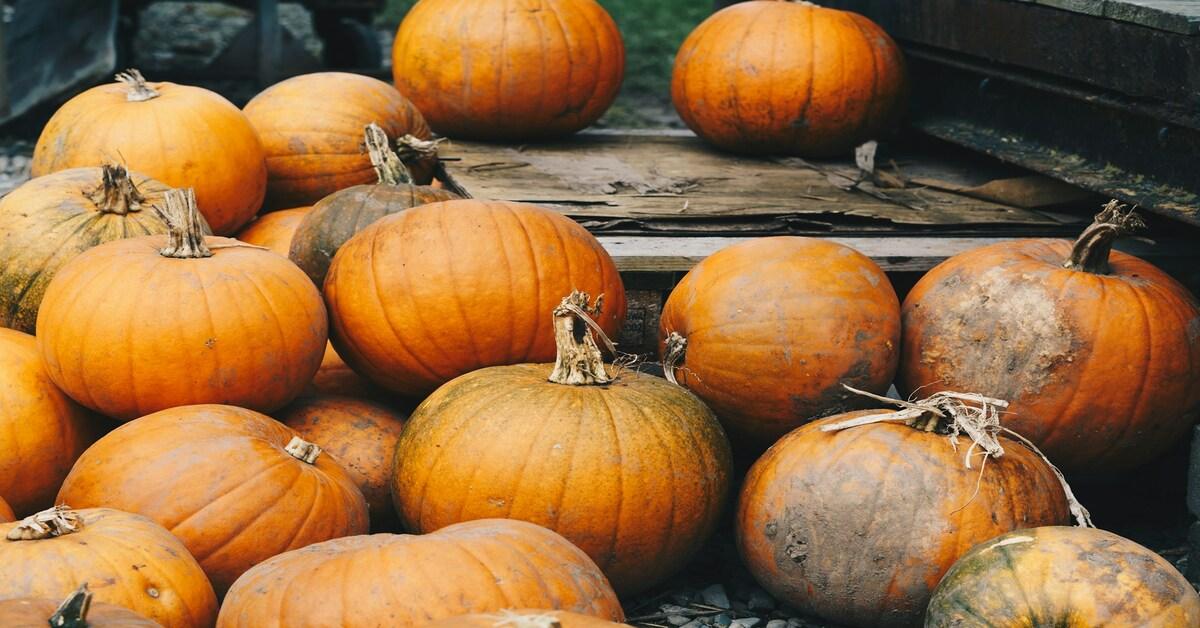 Forget Halloween, Visit the Underrated & Best Pumpkin Festivals