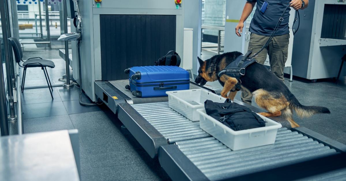 Prohibited Items in Singapore: A Traveler’s No-Pack List