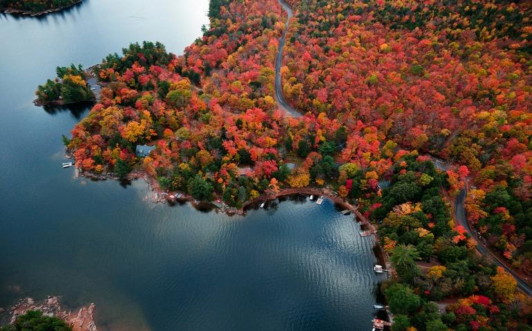 Aerial View of the Autumn Colours in Northern Ontario