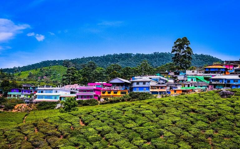 Towns in Munnar