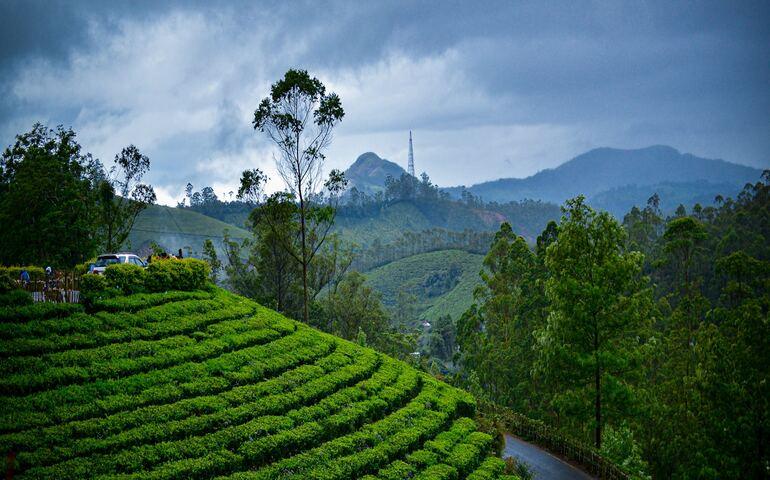 Munnar during the monsoon