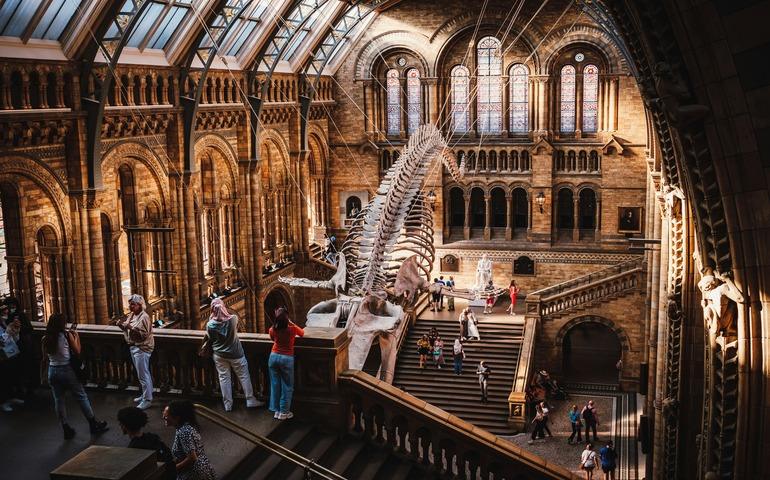 Natural History Museum