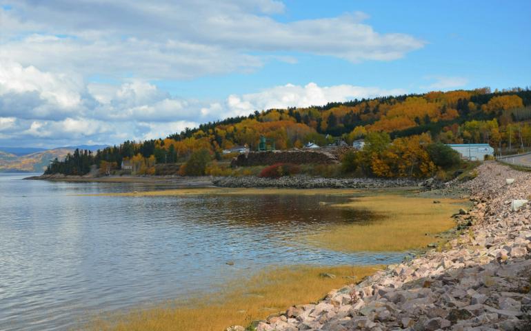 Fall Season Canada Quebec Lake Point of View