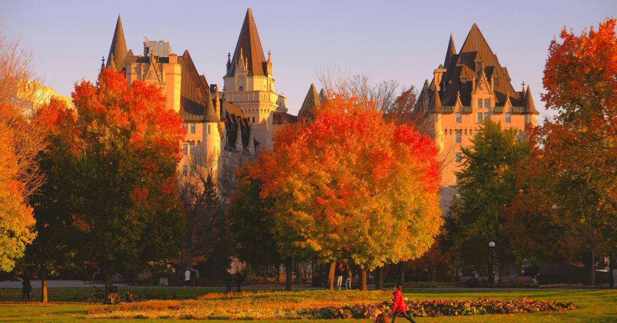 Non Editorial/Unsplash