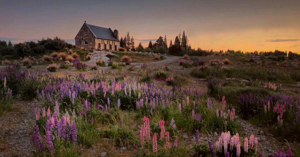 Non Editorial / Unsplas