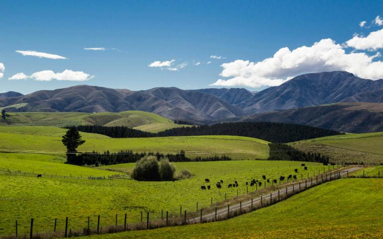Farm Barn Cafe, Fairlie, New Zealand