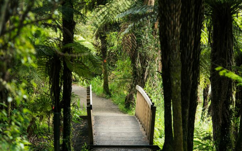 Hunua Ranges Regional Park Falls Road