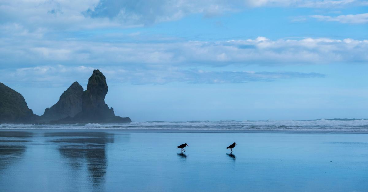 Non Editorial/Unsplash